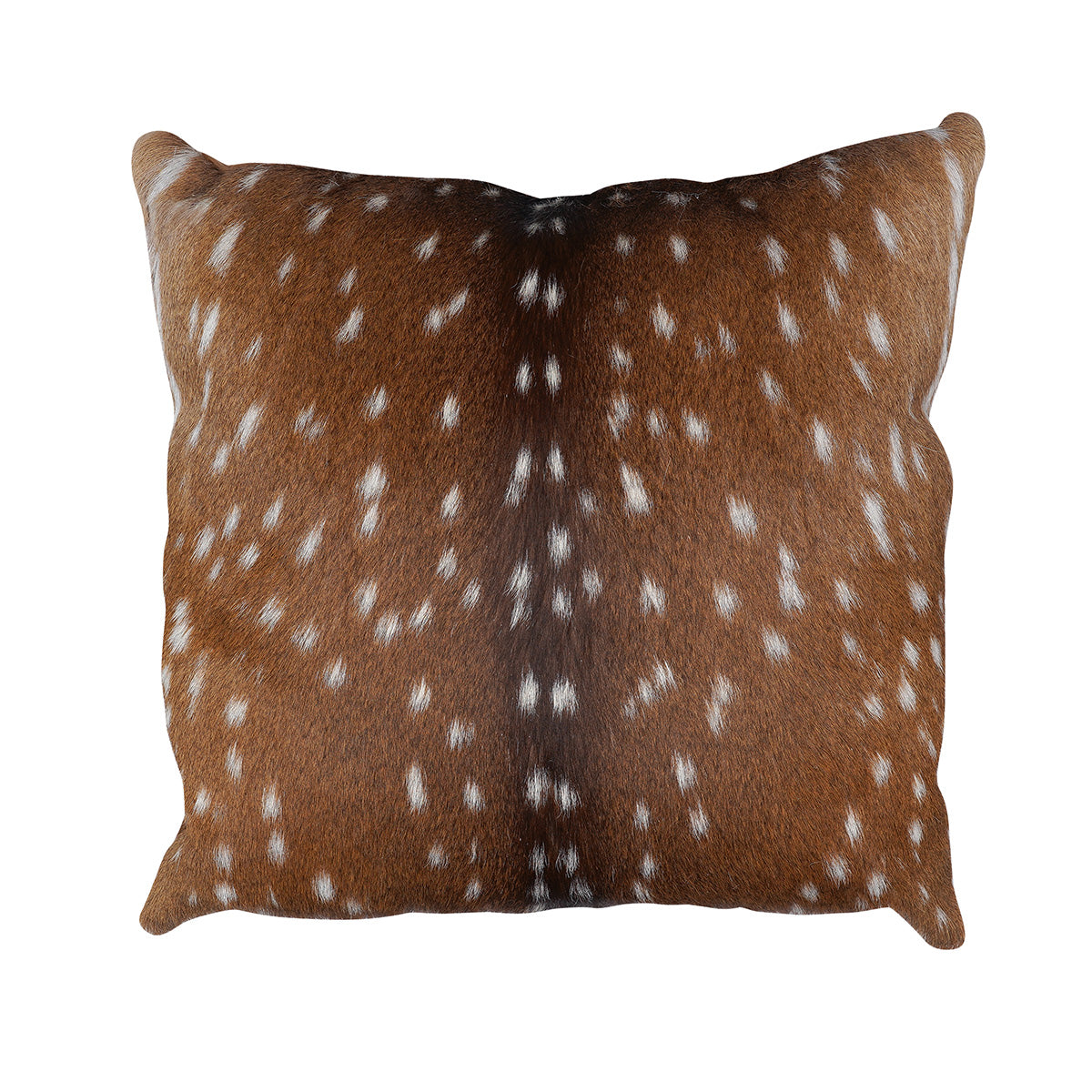 Luis Axis Hide Pillow