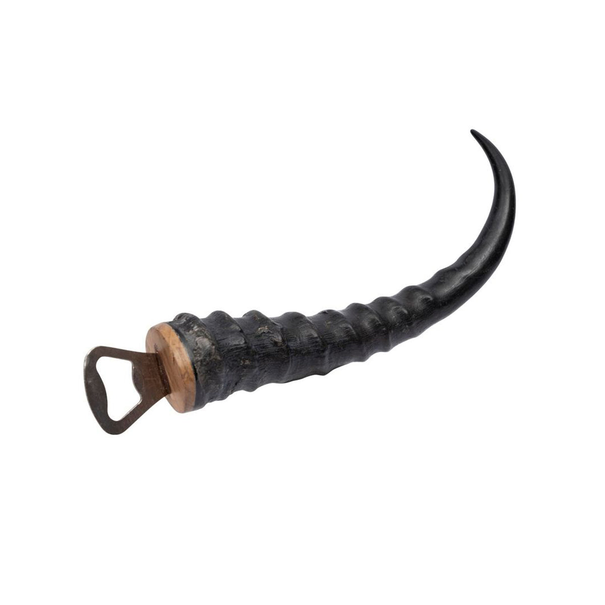 Ann Springbok Horn Bottle Opener