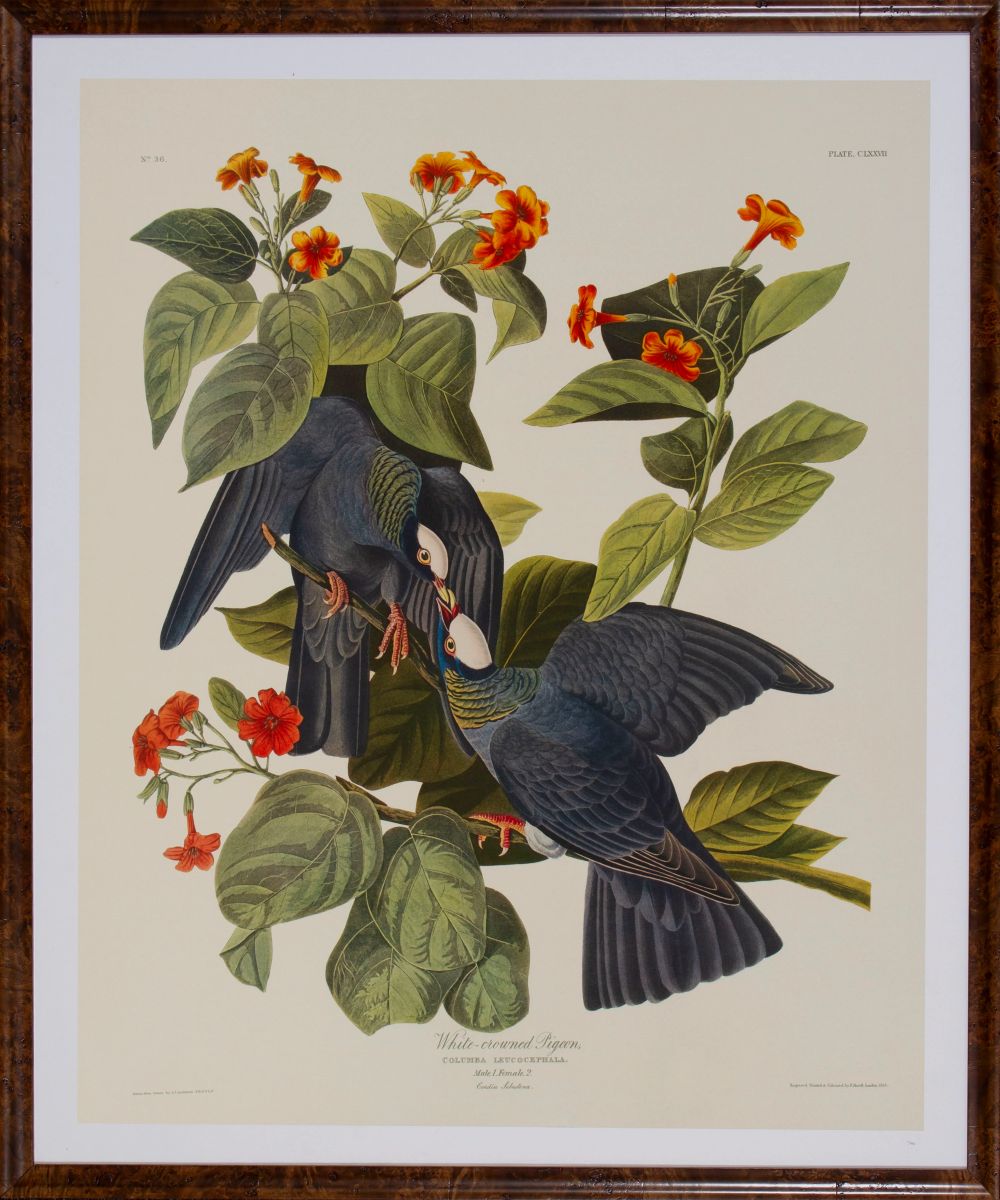 Christopher Wall Art