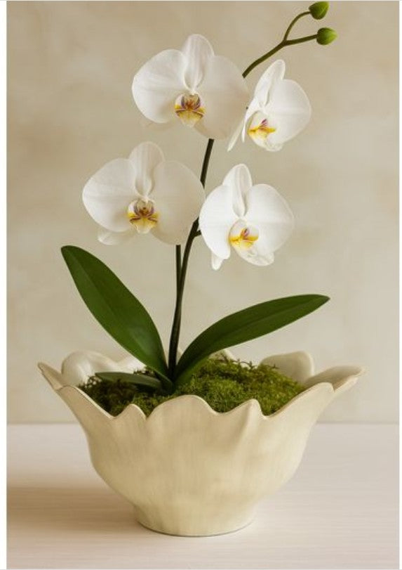 Lisa Oval Decorative Bowl