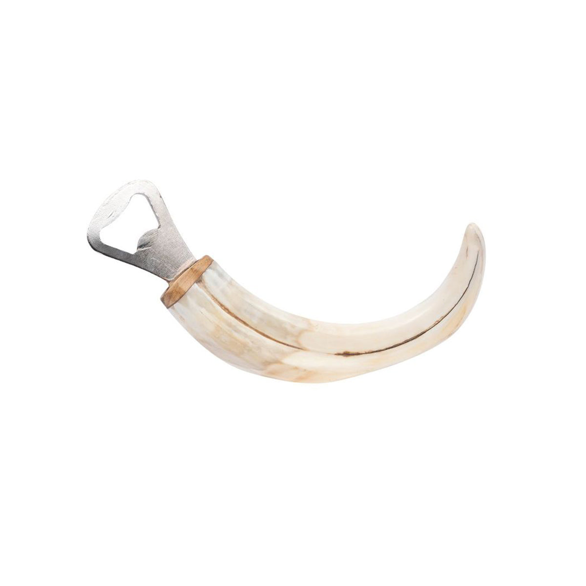 Nicole Warthog Tusk Bottle Opener